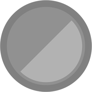 100 טפסים נשלחו בכל תקופת הפעילות 