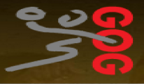 גוג 