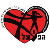 הפועל ירושלים 