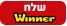 שלח טופס